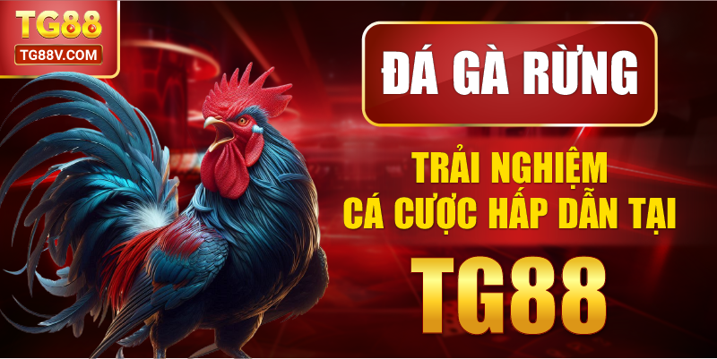 Đá Gà Rừng Trải Nghiệm Cá Cược Hấp Dẫn Tại TG88
