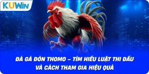 Đá Gà Đòn Thomo – Tìm Hiểu Luật Thi Đấu Và Cách Tham Gia